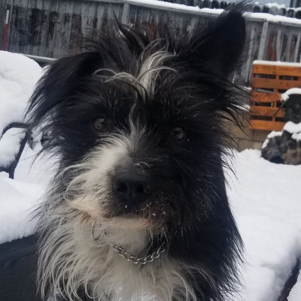 Meet your Posher, Abigail